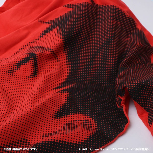 KING OF PRISM by PrettyRhythm ���祻�å� �����ǥ�������������佪λ��