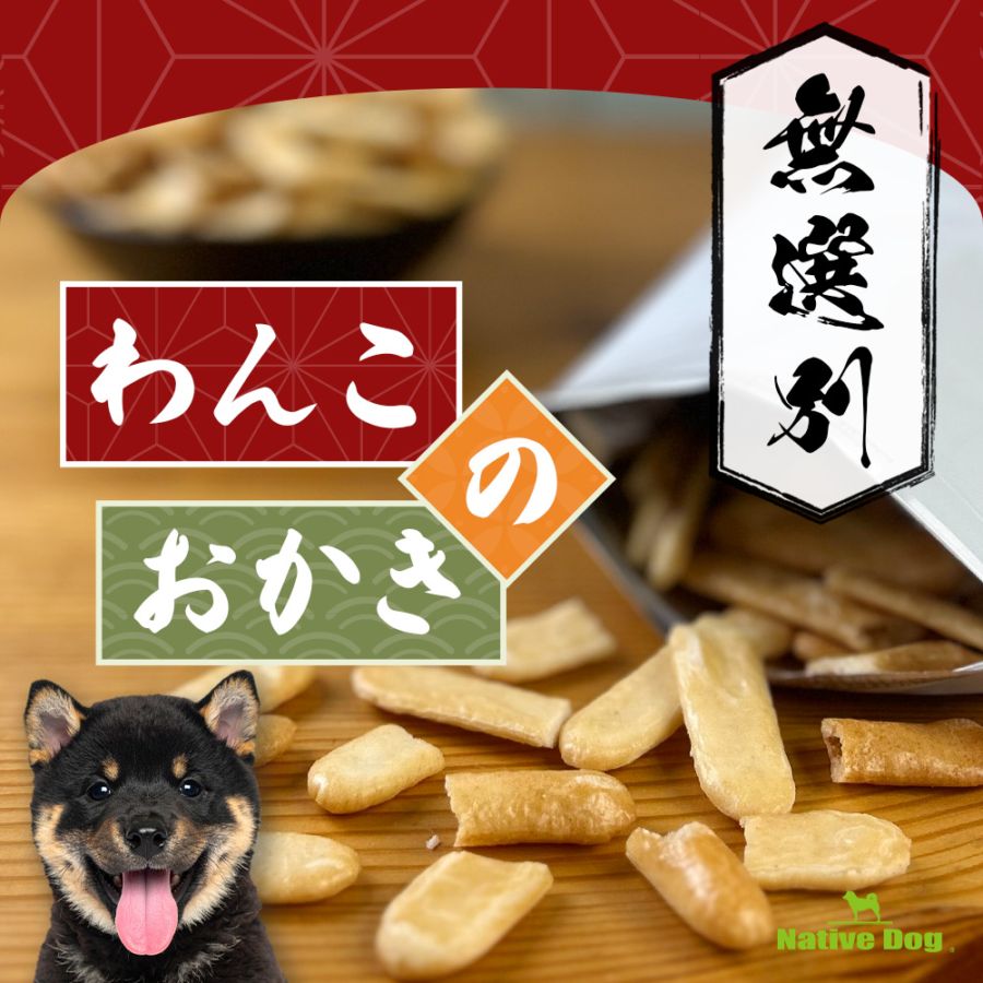 aiai　犬のおやつ わんわん チョイあげ ミルク入りキューブ 50g（4532066003955）｜犬
