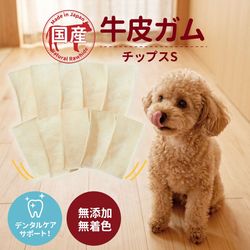 �񻺵��饬�� ���åץ�S 80g���֥ǥ󥿥륱�����ݡ��ȡס�̵ź�á�̵�忧��