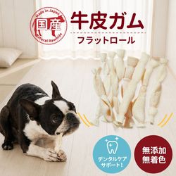 �񻺵��饬�� �ե�åȥ����� 60g���֥ǥ󥿥륱�����ݡ��ȡס�̵ź�á�̵�忧��