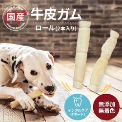 �񻺵��饬�� ������ 2�������֥ǥ󥿥륱�����ݡ��ȡס�̵ź�á�̵�忧��
