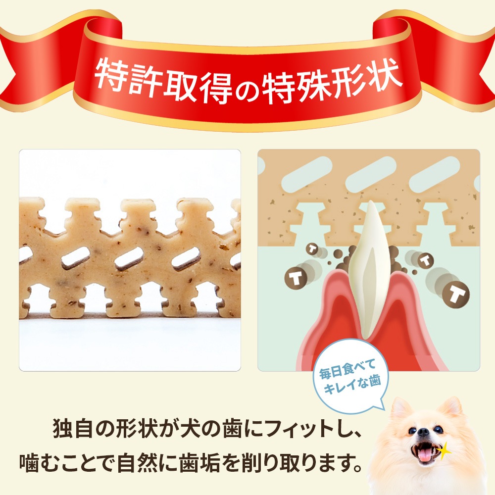 ���ߤ������ࡡ�ǥ�ƥ������꡼�ե����꡼���� S��������150g ��21������<br>���õ��������ü�����ס�FORCANS��DENTI 3fairy��