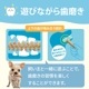 ���ߤ������ࡡ�ǥ�ƥ������꡼�ե����꡼���� S��������150g ��21������<br>���õ��������ü�����ס�FORCANS��DENTI 3fairy��