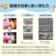 ���ߤ������ࡡ�ǥ�ƥ������꡼�ե����꡼���� S��������150g ��21������<br>���õ��������ü�����ס�FORCANS��DENTI 3fairy��