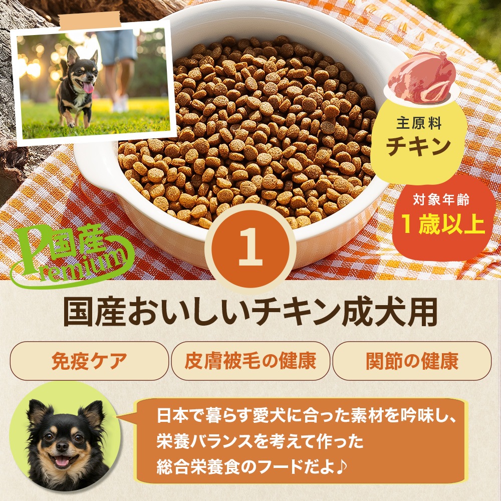 ��󥳤��򤷤� ������åȡι񻺤������������������ѡϡ� ����̵�����̳�ƻ������������̡ˡ�<br> �ڽ��ƤΤ����͸���Υ��åȡ�