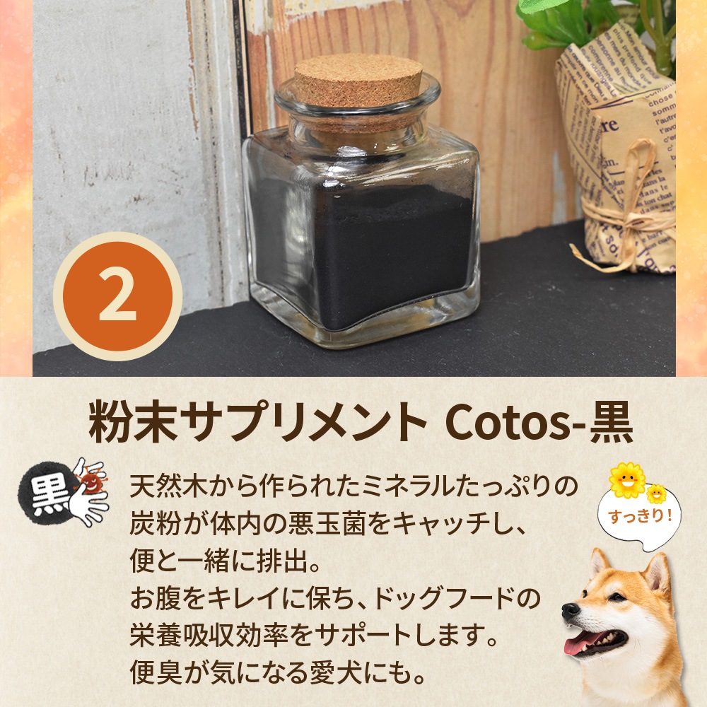 ��󥳤��򤷤� ������åȡι񻺤������������������ѡϡ� ����̵�����̳�ƻ������������̡ˡ�<br> �ڽ��ƤΤ����͸���Υ��åȡ�