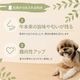 �񻺵��饬�� ���åץ�S 80g���֥ǥ󥿥륱�����ݡ��ȡס�̵ź�á�̵�忧��