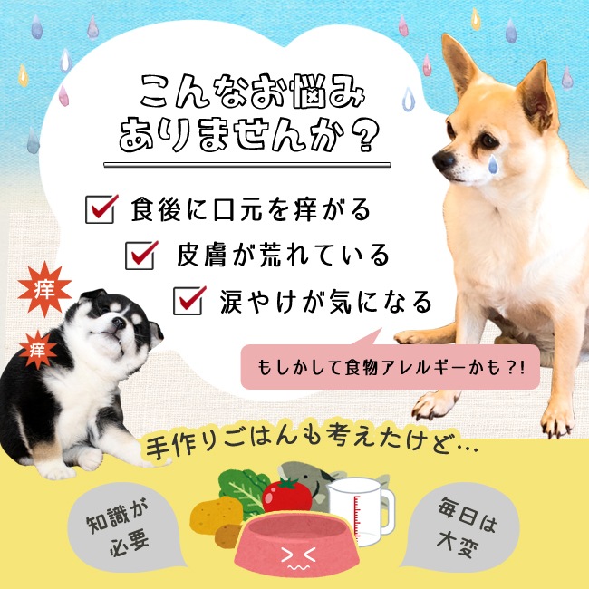 �ͥ��ƥ��֥ɥå� �ץ�ߥ���ե��å��� �㥢��륲�� 18kg��3kg��6�ˡ�����̵���������ϰ��������