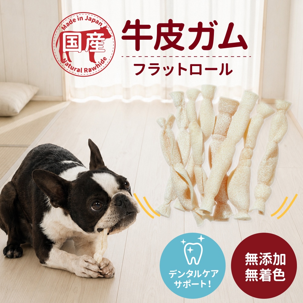 �񻺵��饬�� �ե�åȥ����� 60g���֥ǥ󥿥륱�����ݡ��ȡס�̵ź�á�̵�忧��
