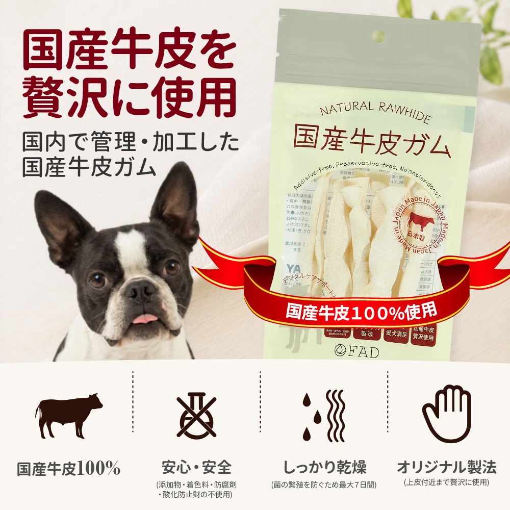 �񻺵��饬�� �ե�åȥ����� 60g���֥ǥ󥿥륱�����ݡ��ȡס�̵ź�á�̵�忧��