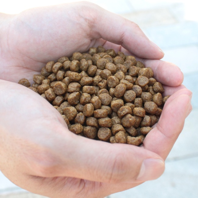 ͥƥ֥ɥå ץߥ  6kg3kg2ˡ̵ϰ