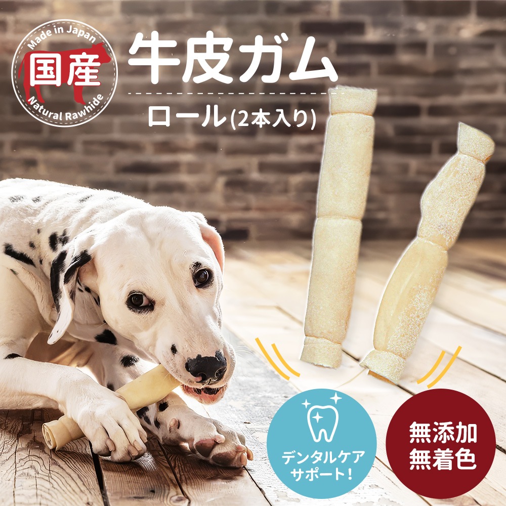 �񻺵��饬�� ������ 2�������֥ǥ󥿥륱�����ݡ��ȡס�̵ź�á�̵�忧��