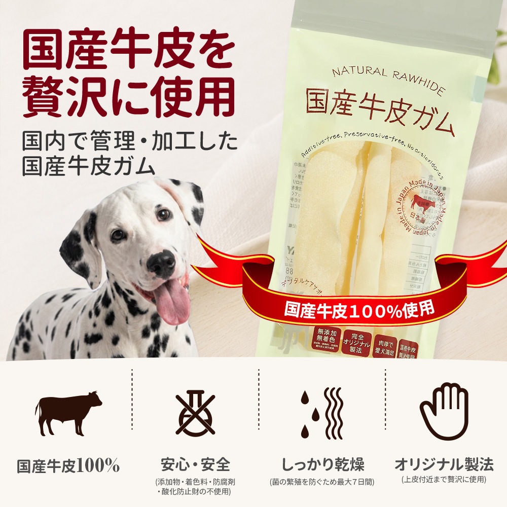 �񻺵��饬�� ������ 2�������֥ǥ󥿥륱�����ݡ��ȡס�̵ź�á�̵�忧��