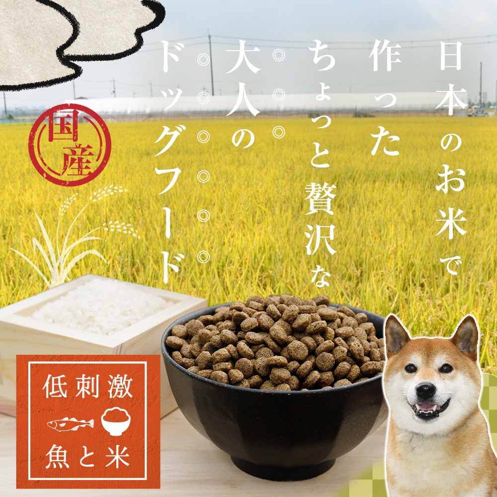 ͥƥ֥ɥå ɷ ɥåա 3kg̵̳ƻ <br>ܿбץƥե꡼