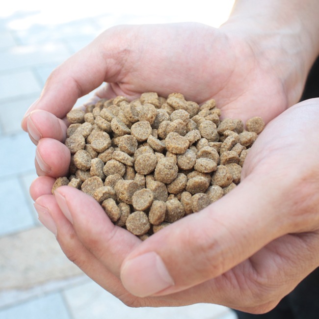 �ͥ��ƥ��֥ɥå� �ץ�ߥ�������� �ν�Ĵ���� 12kg��3kg��4�ˡ�����̵���������ϰ��������