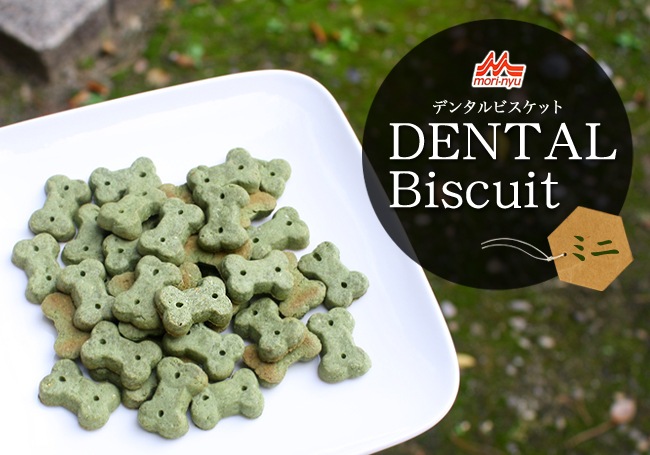 ���� ����������ǥ󥿥�ӥ����åȡڥߥˡ� 80g���ʸ��Ѥ���ġ�