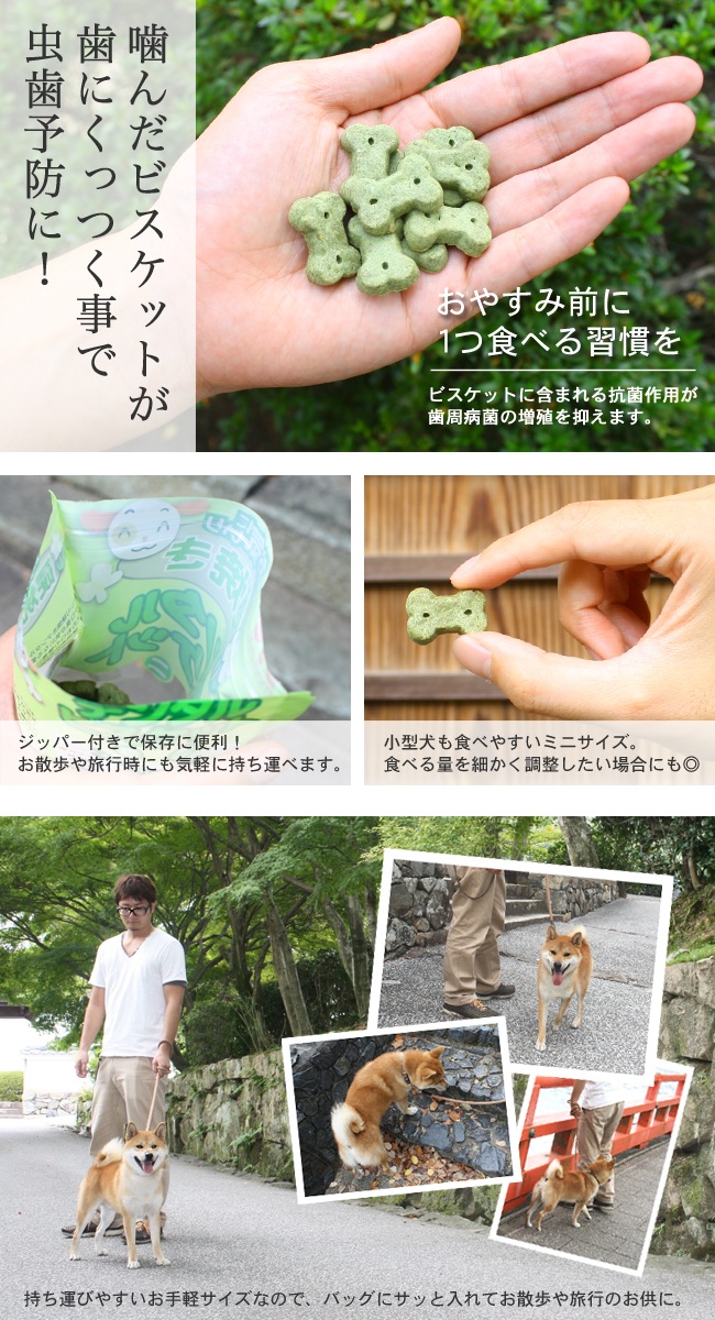 ���� ����������ǥ󥿥�ӥ����åȡڥߥˡ� 80g���ʸ��Ѥ���ġ�