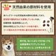 ����̵�� ��󥳤���� ������å� �ڻҸ� / ���� / �ν�Ĵ���� �ץ�ߥ�������� �ɥå��ա��� ���̳�ƻ������������̡�