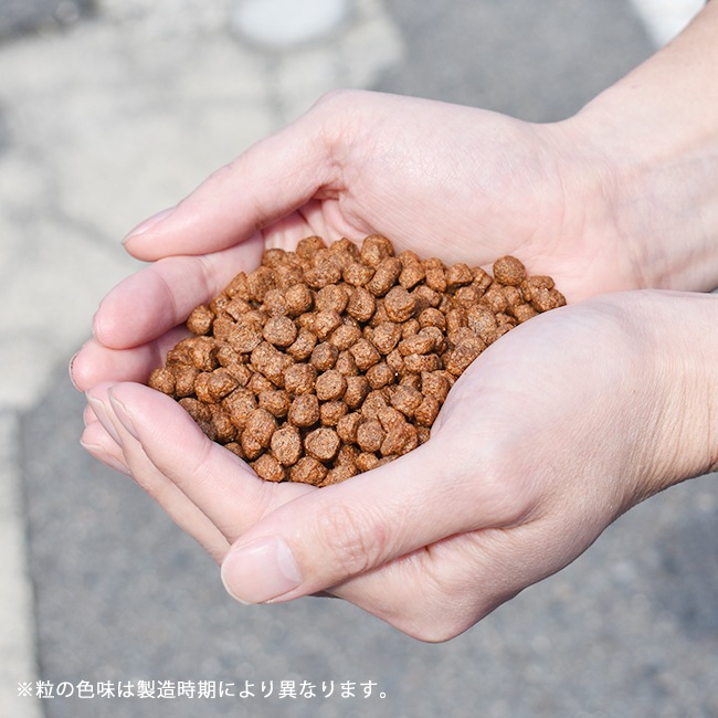 �ͥ��ƥ��֥ɥå� �ץ�ߥ���ե��å��� �㥢��륲�� 800g