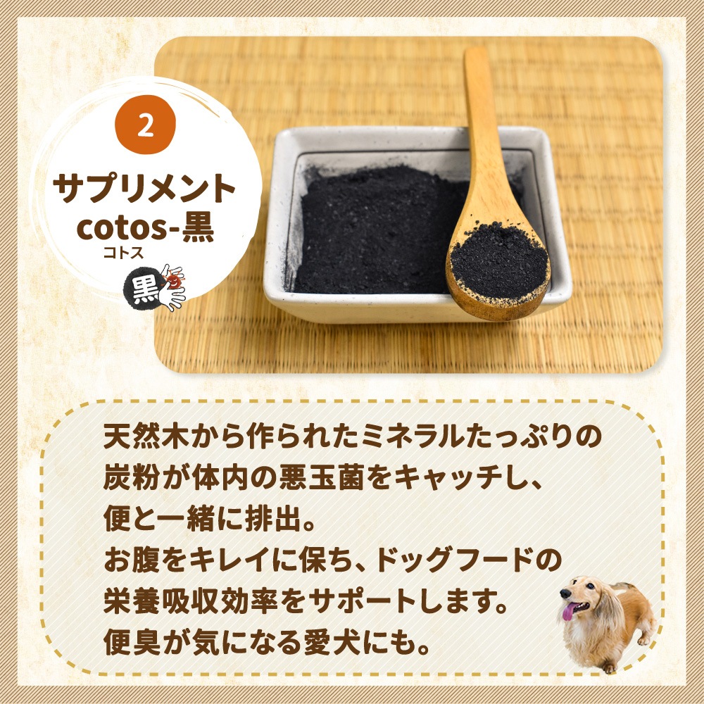 ����̵�� �� ��ɷ� ������å� ������ / �νŴ��� / ���𸤡� ���̳�ƻ������������̡� ��󥳤ˤ䤵�����񻺥ɥå��ա��ɡڽ��ƤΤ����͸���Υ��åȡ�