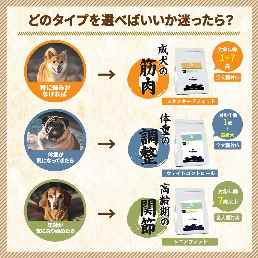 ����̵�� �� ��ɷ� ������å� ������ / �νŴ��� / ���𸤡� ���̳�ƻ������������̡� ��󥳤ˤ䤵�����񻺥ɥå��ա��ɡڽ��ƤΤ����͸���Υ��åȡ�