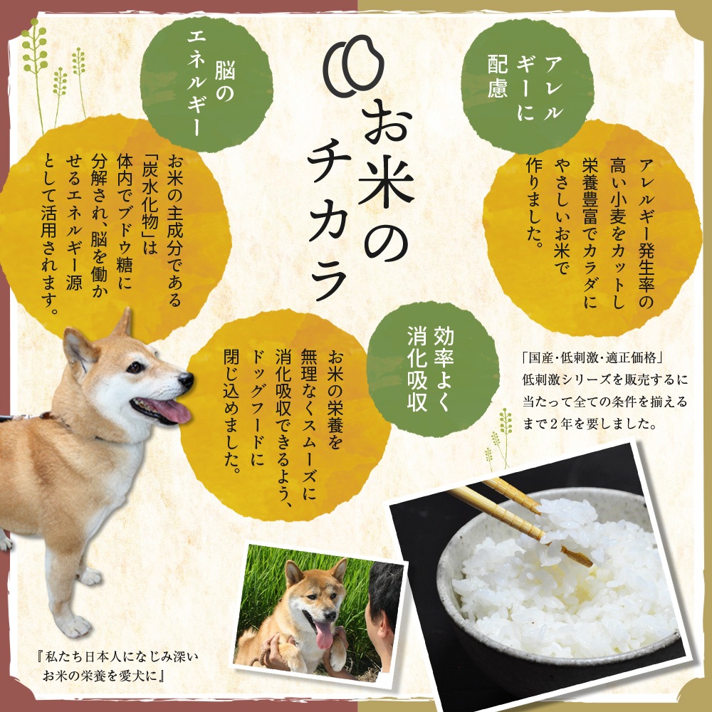 ����̵�� �� ��ɷ� ������å� ������ / �νŴ��� / ���𸤡� ���̳�ƻ������������̡� ��󥳤ˤ䤵�����񻺥ɥå��ա��ɡڽ��ƤΤ����͸���Υ��åȡ�