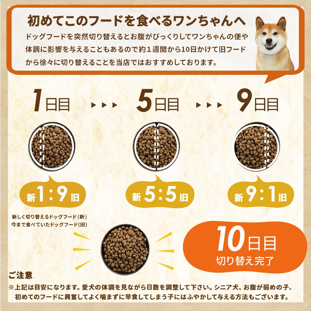 ����̵�� �� ��ɷ� ������å� ������ / �νŴ��� / ���𸤡� ���̳�ƻ������������̡� ��󥳤ˤ䤵�����񻺥ɥå��ա��ɡڽ��ƤΤ����͸���Υ��åȡ�