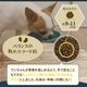 ����̵�� �񻺵�Φ�ʤ��������ˤΤ�������� 500g�ڥޥ�����ݡ��ȥɥå��ա��ɡۤ�������դ����̳�ƻ������������̡�<br>�����ƤΤ����͸���!�Τ�����ʡ�