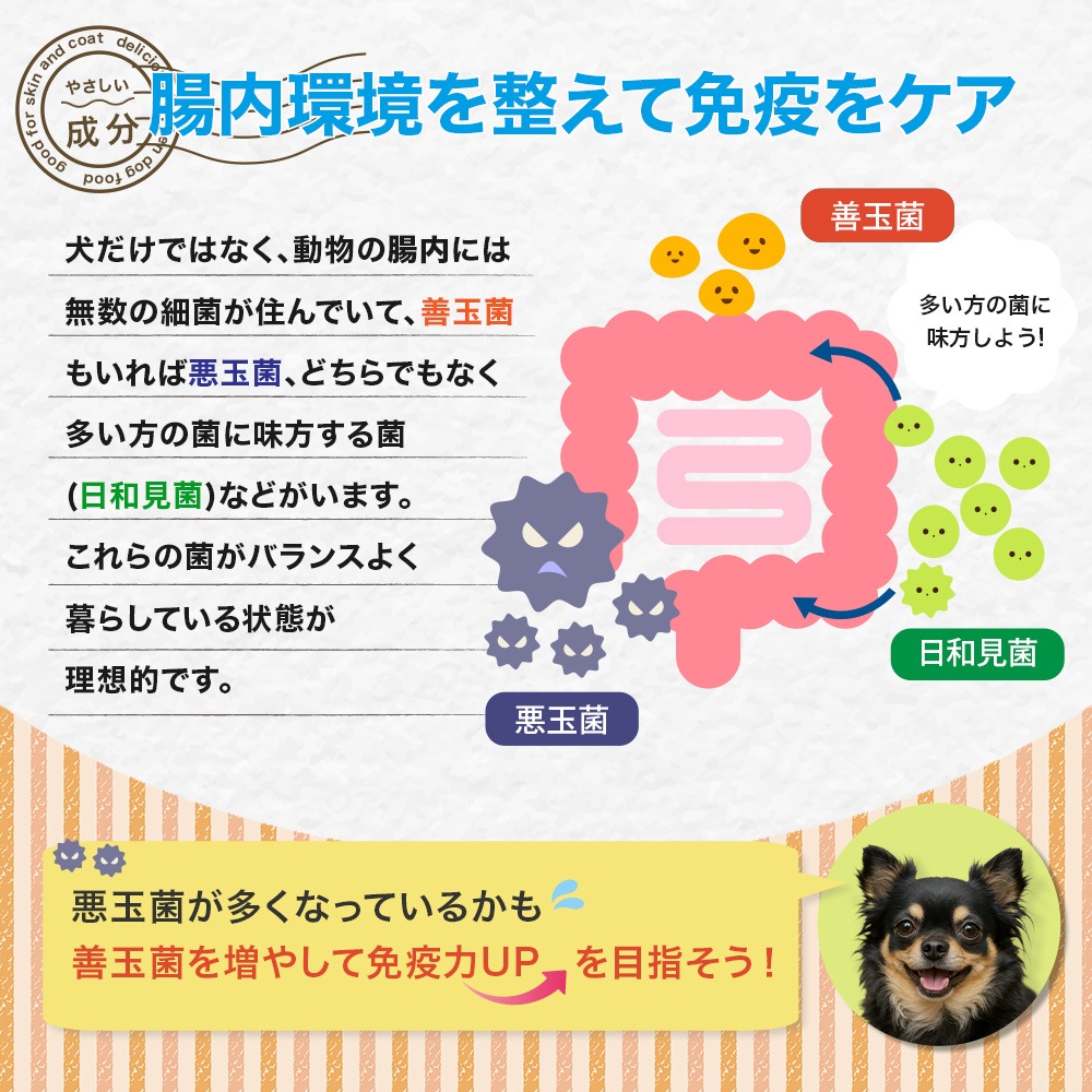 ͥƥ֥ɥå񻺤  3kgɥåաɡ̵̳ƻ