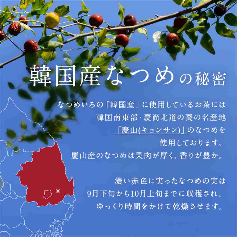 θȸϴʤĤդΤ㡡5ꡡ2ޥåȡPOWER OF FOODջ