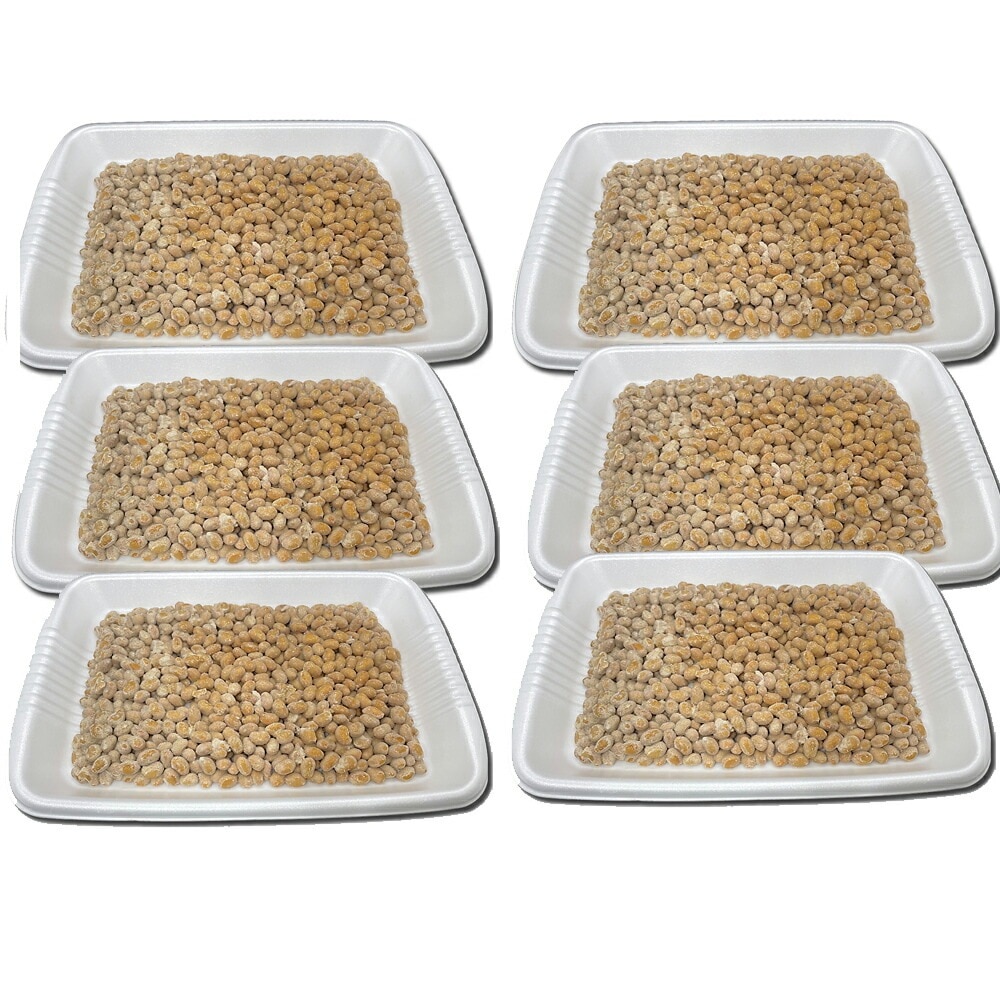 【小粒納豆 500g 6枚 冷凍 】北海道産 業務用 納豆 ナットウ なっとう 朝食 大粒 ご飯のお供 ご飯のおかず ごはんのおとも おかず ねばねば 納豆菌 ご飯のおとも ごはんのお供