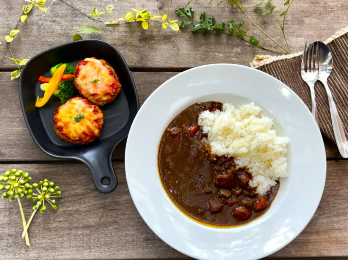 ヴィーガン野菜カレー３食＆豆腐と地鶏のイタリアンハンバーグ６個入りセット