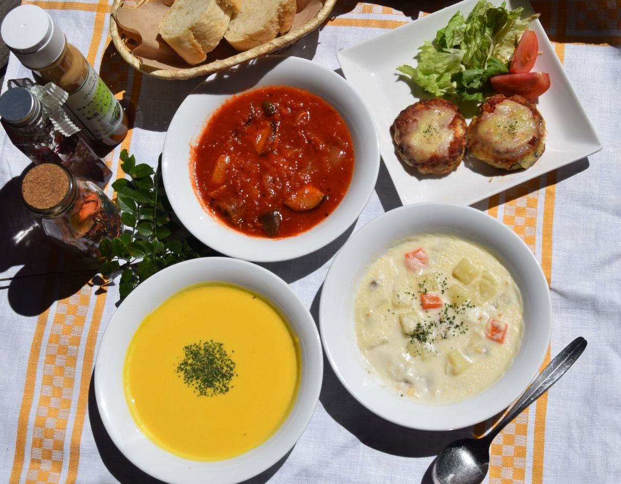 化学調味料無添加スープ３食＆豆腐と地鶏のイタリアンハンバーグ６個入りセット