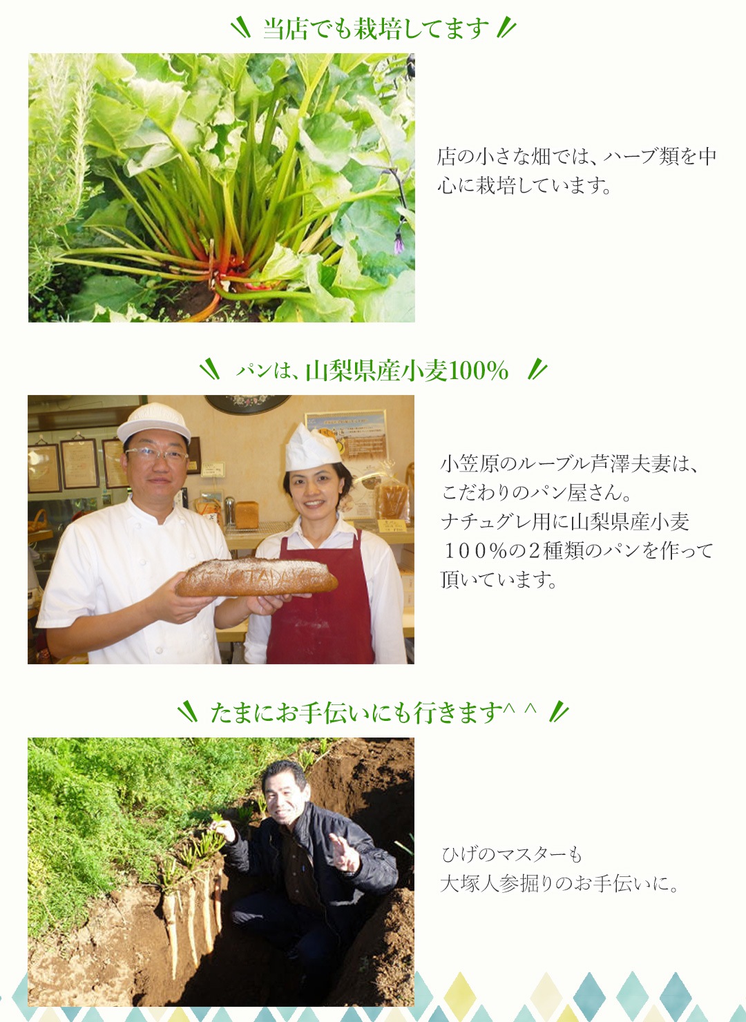 【初回限定!送料無料♪】贅沢セット【3セットまで購入可】※ギフト対応不可