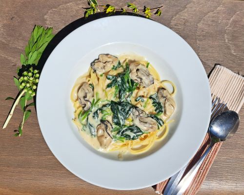 冬限定！広島産カキとほうれん草のクリームソース