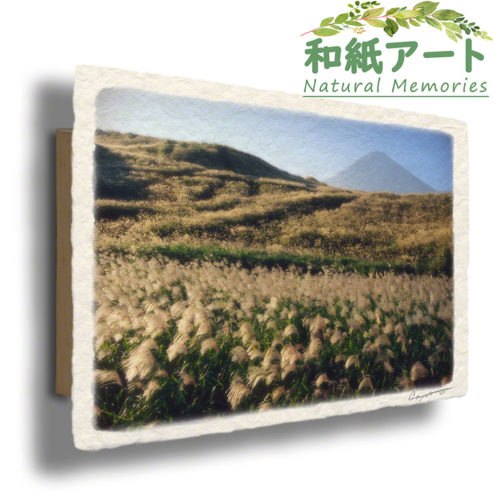 手すき 和紙 アートパネル 木製パネル付 秋 金色 風景 「富士山と一面の輝くススキの原」