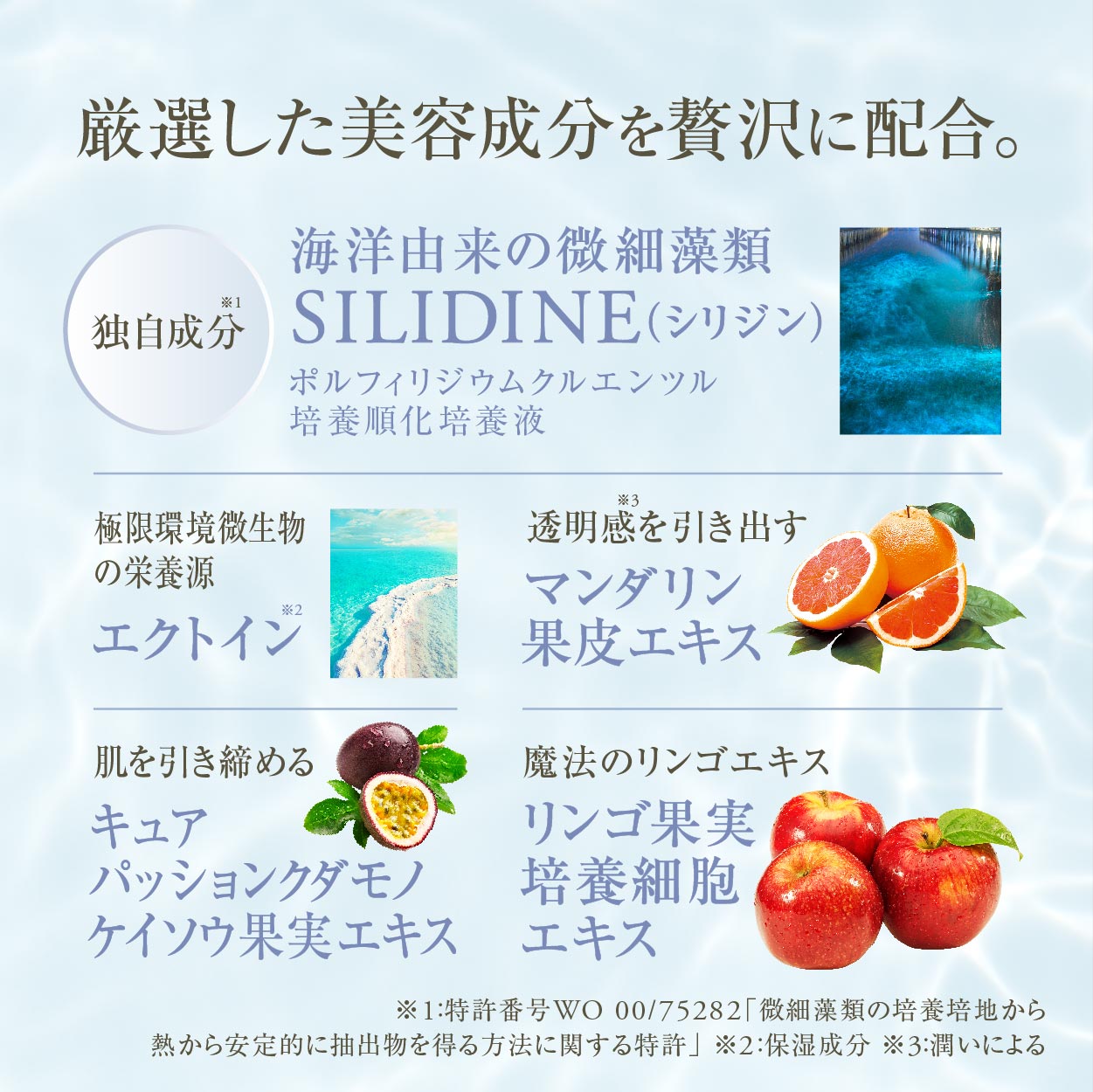 ファストプロナノミストの卸・通販はこちら｜ ナチュラルシナジー【公式】