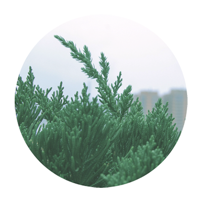 VinX �ʥ����󥯥��˥����ޥ֥���No.104