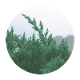 VinX ʥ󥯥˥ޥ֥No.105