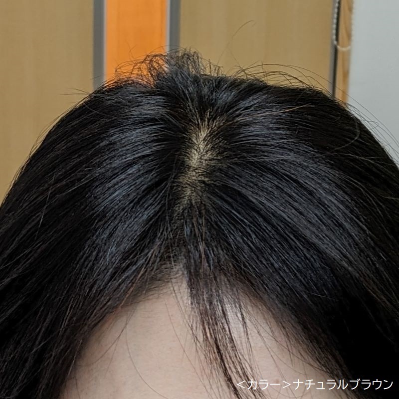 ܥ˥Υ󡡥ȥ륷إʡ100ܥȥ꡼ȥȥ42