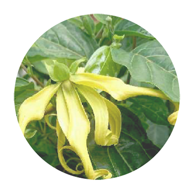 VinX ʥ󥯥˥ޥ֥No.117