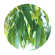 VinX ʥ󥯥˥ޥ֥No.119