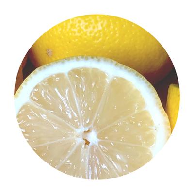 VinX ʥ󥯥˥ޥ֥No.135