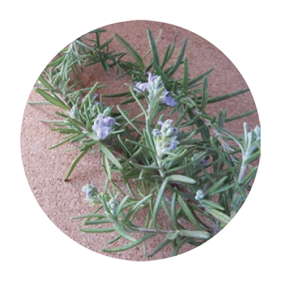 VinX �ʥ����󥯥��˥����ޥ֥���No.142��