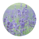 VinX ʥ󥯥˥ޥ֥No.147