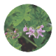 VinX ʥ󥯥˥ޥ֥No.147