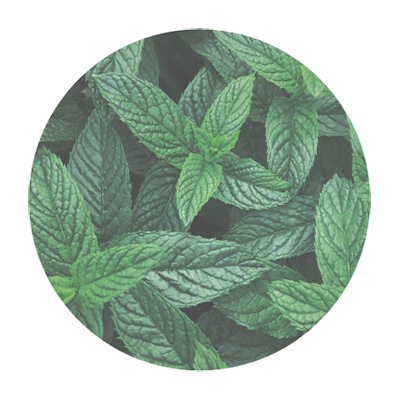 VinX �����ޥ֥���No.86