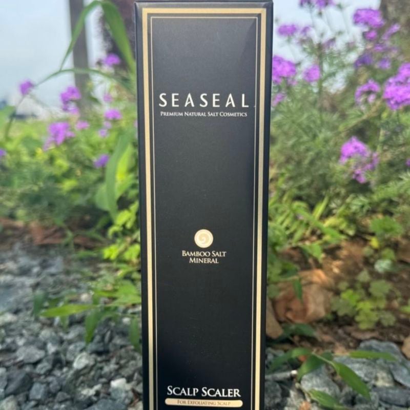 ���������� BS������ץ����ס�