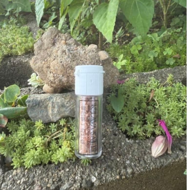 �λ��ݱ����ƻ硡���Ρʥߥˡ�