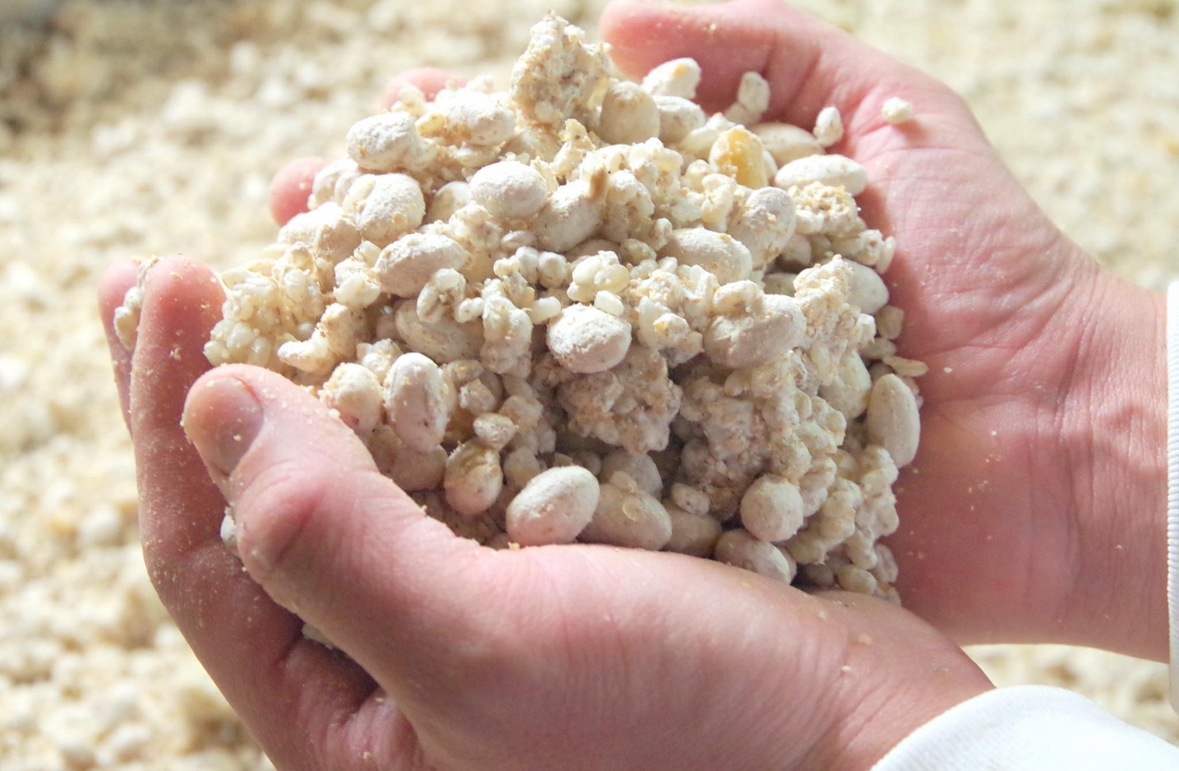 ���������ܲ��Ź��ߴ���Ʀ���� 900ml 3�ܥ��å� ��ȯ��������̤��ˤʤ�ޤ��� ����̵��������